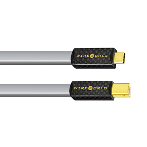 [WireWorld] 와이어월드 Platinum Starlight 8 USB 2.0 (C to B) 케이블 1m
