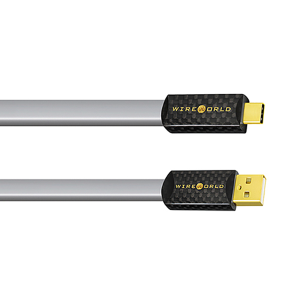 [WireWorld] 와이어월드 Platinum Starlight 8 USB 2.0 (C to A) 케이블 1m